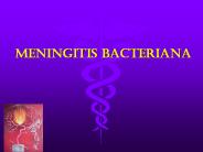 Meningitis Bacteriana