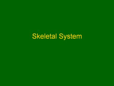 Skeletal System