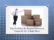 Hire Reputed Movers in Tampa FL