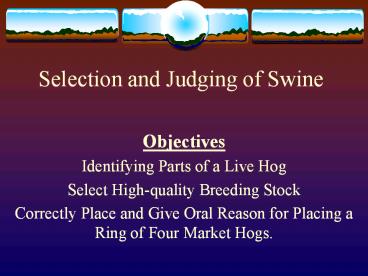 Selection%20and%20Judging%20of%20Swine