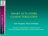 SMART ACTUATORS CHARACTERIZATION