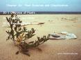 Chapter 30: Plant Evolution and Classification PowerPoint PPT Presentation