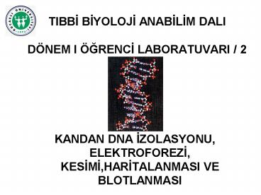 TIBBI BIYOLOJI ANABILIM DALI D