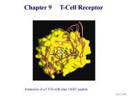Chapter 9   T-Cell Receptor