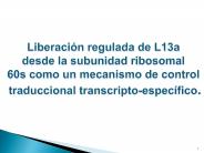 Diapositiva 1