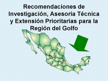 Recomendaciones de Investigaci