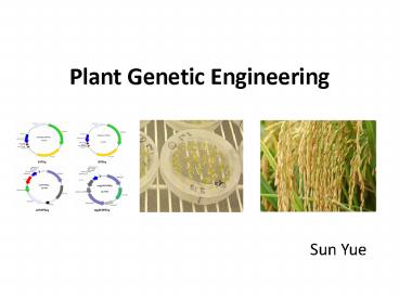 presentation player overlay