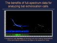 The%20benefits%20of%20full-spectrum%20data%20for%20analyzing%20bat%20echolocation%20calls. PowerPoint PPT Presentation