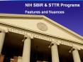 NIH SBIR PowerPoint PPT Presentation