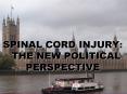 SPINAL CORD INJURY:  THE NEW POLITICAL PERSPECTIVE PowerPoint PPT Presentation