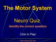 Neuroscience CAI