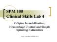 SPM 100 Clinical Skills Lab 4 PowerPoint PPT Presentation
