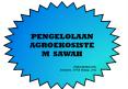 PENGELOLAAN AGROEKOSISTEM SAWAH PowerPoint PPT Presentation