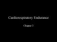 Cardiorespiratory Endurance PowerPoint PPT Presentation