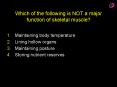 Which of the following is NOT a major function of skeletal muscle? PowerPoint PPT Presentation