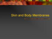 Skin and Body Membranes