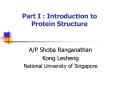 Part I : Introduction to Protein Structure PowerPoint PPT Presentation