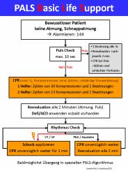 PALS Basic Life Support