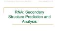 RNA: Secondary Structure Prediction and Analysis PowerPoint PPT Presentation