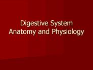 Digestive%20System%20Anatomy%20and%20Physiology