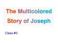 The Multicolored Story of Joseph