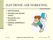 ELECTRONIC%20AGE%20MARKETING
