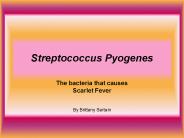 Streptococcus Pyogenes