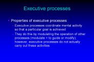 Executive processes