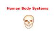 Human Body Systems PowerPoint PPT Presentation