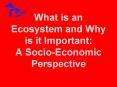 What is an Ecosystem and Why is it Important: A Socio-Economic Perspective PowerPoint PPT Presentation