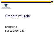 Smooth muscle