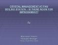 CRYSTAL MANAGEMENT AT PAN BOILING STATION  PowerPoint PPT Presentation