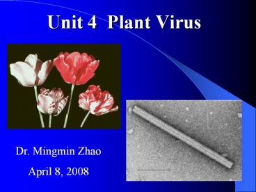 Unit 4 Plant Virus
