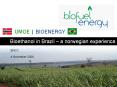 Bioethanol in Brazil  PowerPoint PPT Presentation
