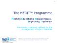The MERIT PowerPoint PPT Presentation