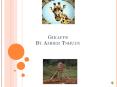Giraffe By Amber Tshudy PowerPoint PPT Presentation