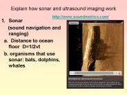 Explain how sonar and ultrasound imaging work