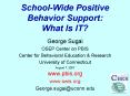 School-Wide Positive Behavior Support: What Is IT? PowerPoint PPT Presentation