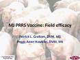 MJ PRRS Vaccine: Field efficacy PowerPoint PPT Presentation