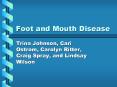 Foot and Mouth Disease PowerPoint PPT Presentation