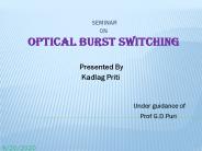 SEMINAR ON Optical Burst Switching
