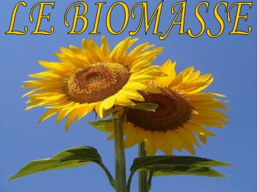 LE BIOMASSE
