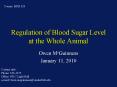 Regulation of Blood Sugar Level at the Whole Animal PowerPoint PPT Presentation