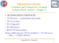 PROGETTO SMART (Structures and Materials for Advanced Radiation Hard Trackers  PowerPoint PPT Presentation