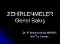 ZEHIRLENMELER Genel Bakis PowerPoint PPT Presentation