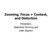 Zooming, Focus   Context, and Distortion