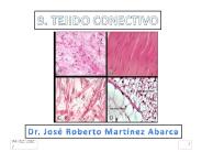 Diapositiva 1