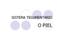 SISTEMA TEGUMENTARIO PowerPoint PPT Presentation