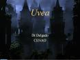 Uvea PowerPoint PPT Presentation