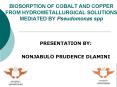 BIOSORPTION OF COBALT AND COPPER FROM HYDROMETALLURGICAL SOLUTIONS MEDIATED BY Pseudomonas spp PowerPoint PPT Presentation